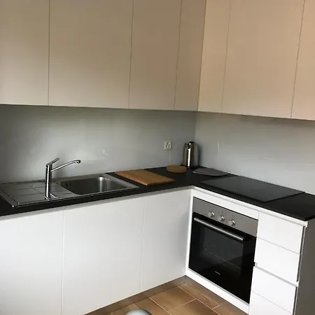 Minerva Apartment Lugano